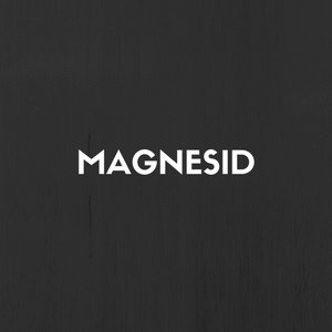 Magnesid 的头像
