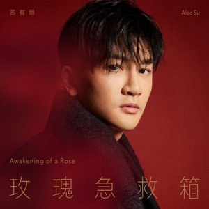 玫瑰急救箱 - Single