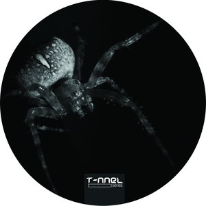 Warms (Original Mix)