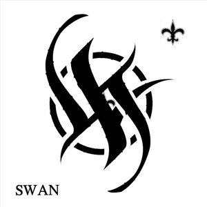 Swan