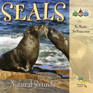 “Seals”的封面