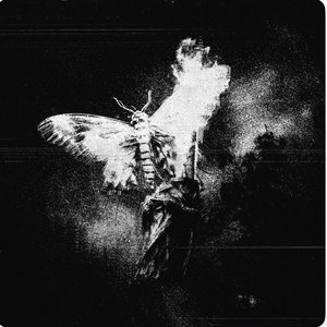 Alone - Single