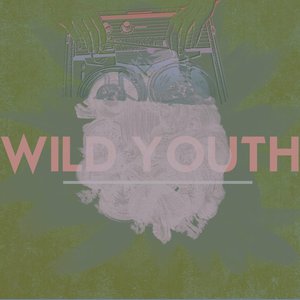 wildyouth 的头像