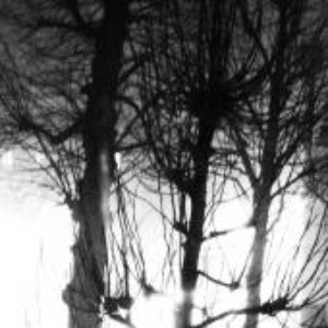 Avatar for Nicolas Kinski