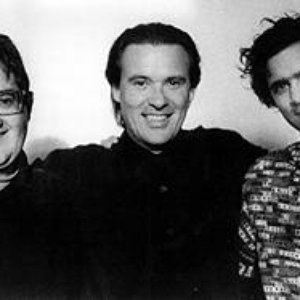 Thierry Lang Trio 的头像