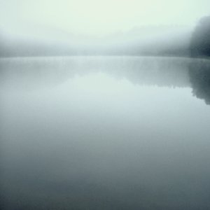 Traumstaub 的头像