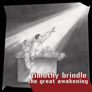 Image pour 'The Great Awakening'