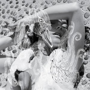 Image for 'Vespertine (EU Version)'