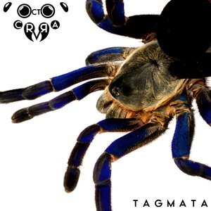 Tagmata