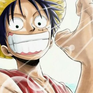 “Luffy”的封面