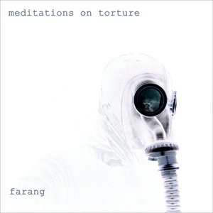 meditations on torture