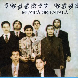 Image for 'Muzică orientală'