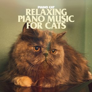 Relaxing Piano Music for Cats