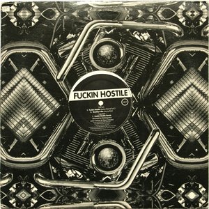 Avatar for Fuckin Hostile