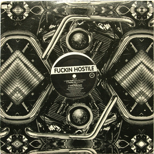 Fuckin Hostile photo provided by Last.fm