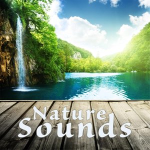 Nature Sounds