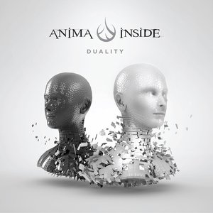 Duality