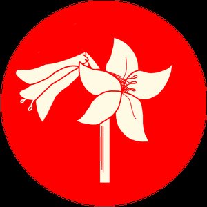 La Flor