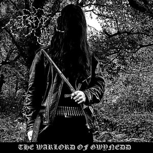 The Warlord of Gwynedd
