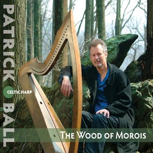 “The Wood of Morois”的封面