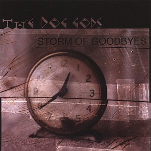 Storm Of Goodbyes