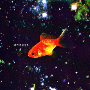 Supernova