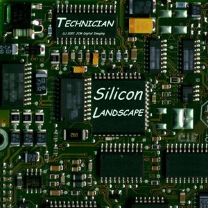 Silicon Landscape