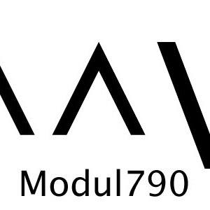 Avatar for Modul790