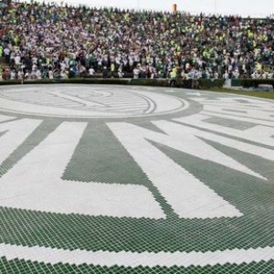 Image for 'Palmeiras'