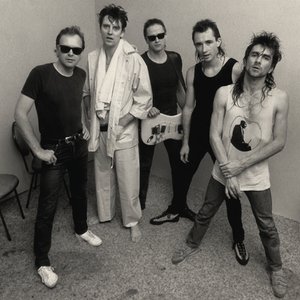 Avatar for The Angels