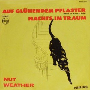 “Nut Weather”的封面