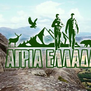 ΑΓΡΙΑ ΕΛΛΑΔΑ 的头像