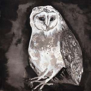 Owl Song - Single