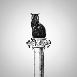 Chat perché - Single