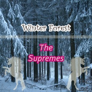 Winter Forest