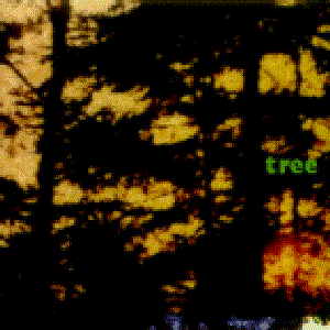 Tree: Music for Film and Forests