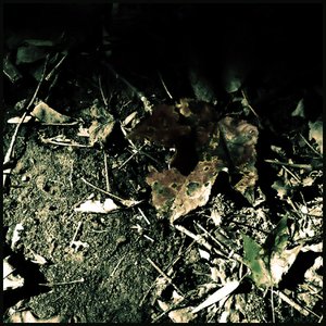 Bild för 'The Last Leaf of Fall (Demo)'