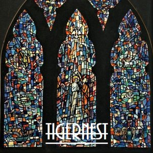 Tiger Nest 的头像