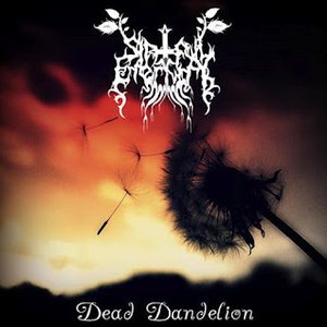 Dead Dandelion
