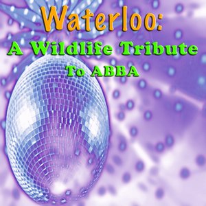 Waterloo: A Wildlife Tribute To ABBA