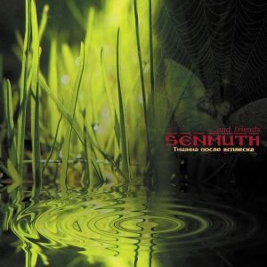 Avatar for Senmuth & Invisible Kid