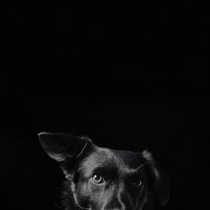 Catchpenny & Cosmos EP