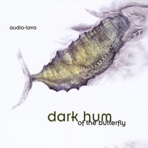 Dark Hum of the Butterfly