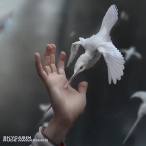 Rude Awakening - Single