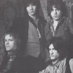 The Joe Perry Project photo provided by Last.fm