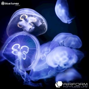 Formless Life