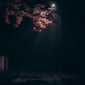 The Night