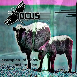 Locu5 的头像