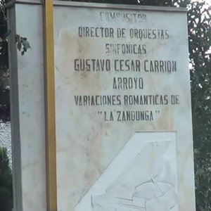 Gustavo César Carrión 的头像