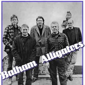 Balham Alligators 的头像